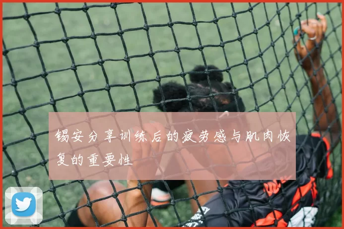 锡安分享训练后的疲劳感与肌肉恢复的重要性