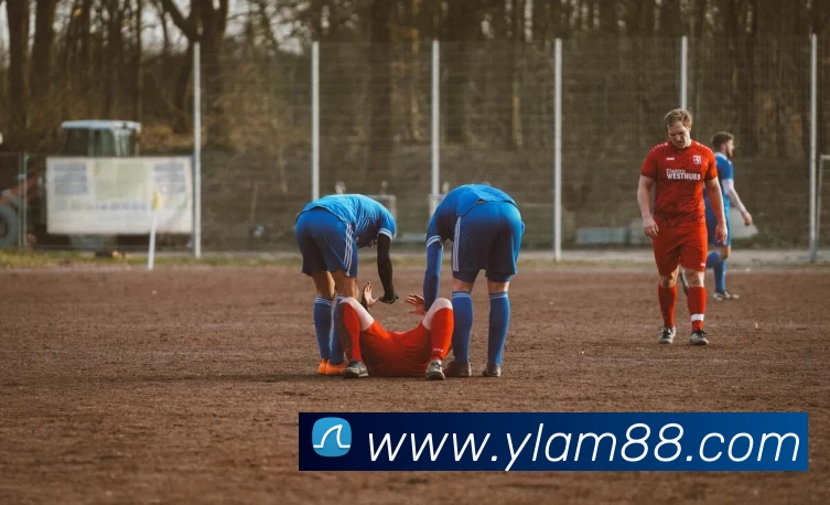 永利澳门全站App